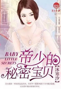 帝少的秘密宝贝