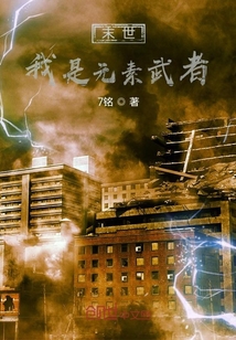 末世：我是元素武者