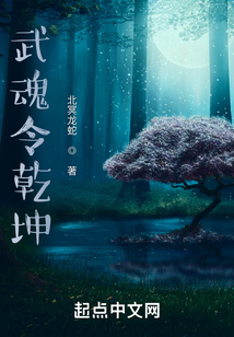 武魂令乾坤