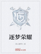 逐梦荣耀在线阅读