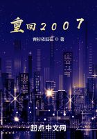 重回2007在线阅读