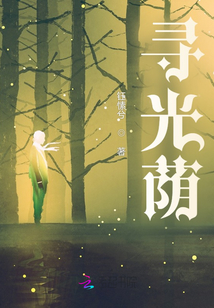 尋光蔭