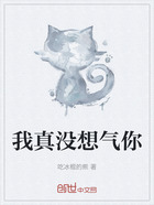 我真没想气你在线阅读