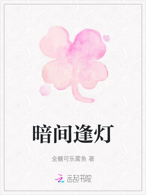 暗间逢灯在线阅读