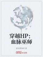 穿越HP：血脉巫师在线阅读