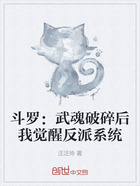 斗罗:武魂破碎后我觉醒反派系统在线阅读
