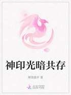 神印光暗共存在线阅读