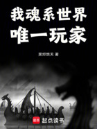 我,魂系世界唯一玩家在线阅读