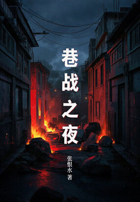巷战之夜在线阅读