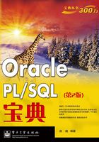 Oracle PL/SQL宝典