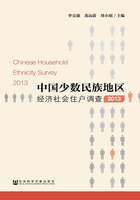 中国少数民族地区经济社会住户调查（2013）