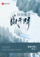 待到繁花盛开时在线阅读