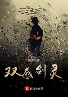 雙感劍靈在線閱讀