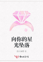 向你的星光坠落在线阅读