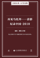 再见乌托邦：清影纪录中国2010在线阅读