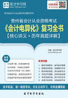 贵州省会计从业资格考试《会计电算化》复习全书【核心讲义＋历年真题详解】