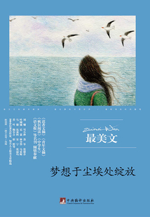夢想于塵埃處綻放