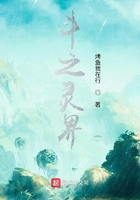 斗之靈界在線閱讀