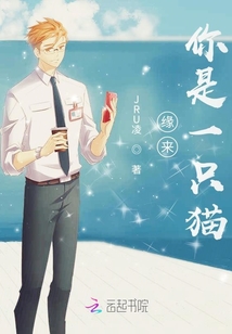 緣來，你是一只貓