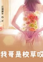 我哥是校草哎