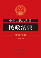 中华人民共和国民政法典：注释法典（2018年版）