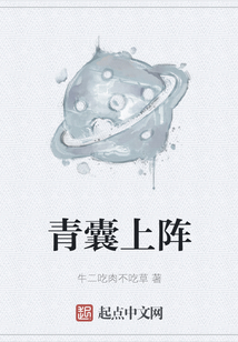 青囊上陣