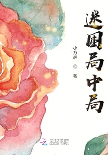 迷困局中局