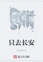 只去长安在线阅读