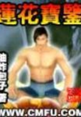 莲花宝鉴在线阅读