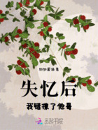 失忆后,我错撩了他哥在线阅读