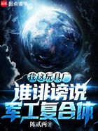 我這玩具廠，誰誹謗說軍工復合體在線閱讀