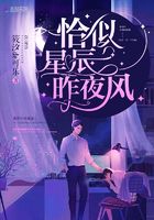 恰似星辰昨夜風(fēng)在線閱讀