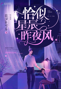 恰似星辰昨夜风