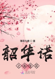 韶华诺之永生花