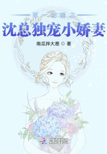 第一宠婚之沈总独宠小娇妻