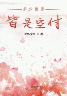 多少相思皆是空付