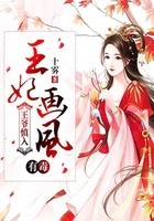 王爷慎入:王妃画风有毒在线阅读