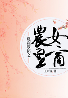 反穿羅裙之農(nóng)女皇商在線閱讀