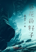 葵花的籽子在线阅读