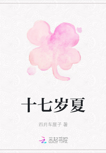 十七歲夏