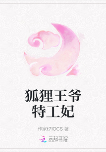 狐狸王爷特工妃