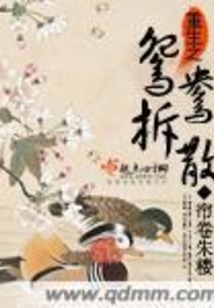 重生之鸳鸯拆散在线阅读