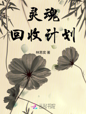 灵魂回收计划在线阅读