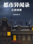 都市异闻录之迷城卷在线阅读