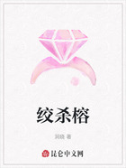 绞杀榕在线阅读