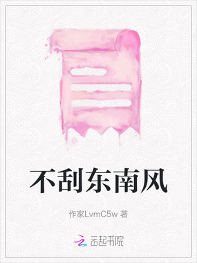 不刮东南风在线阅读