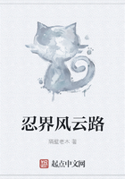 忍界風云路在線閱讀