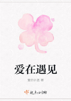 愛在遇見在線閱讀