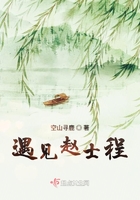 遇见赵士程在线阅读