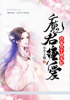 魔君纏愛：吾家有個頑劣妃在線閱讀